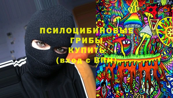 спайс Баксан