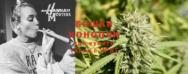гидра Армянск
