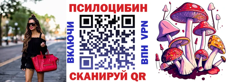 где найти   Новомосковск  Псилоцибиновые грибы MAGIC MUSHROOMS 