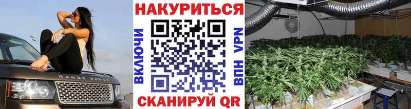 Бошки марихуана MAZAR  Новомосковск 